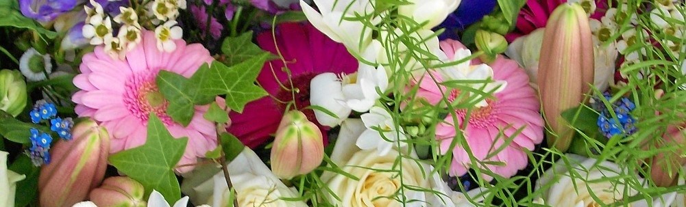 Gärtnerei Blumen Messmer Lindau Bad Schachen Gärtnerei Blumen Messmer Lindau Bad Schachen