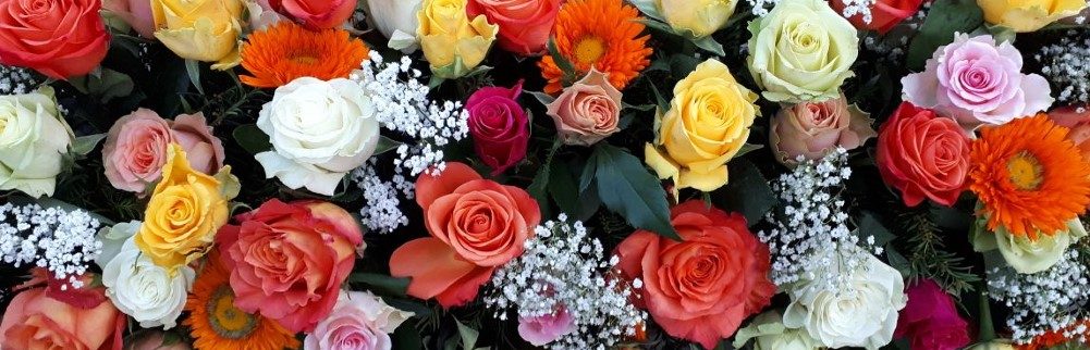 Gärtnerei Blumen Meßmer Gärtnerei Meßmer